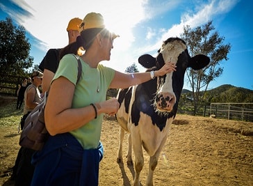 Farm Sanctuary