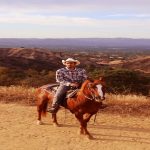Horse Riding