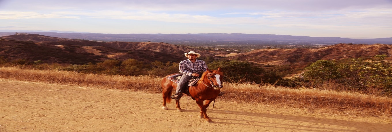 Horse Riding