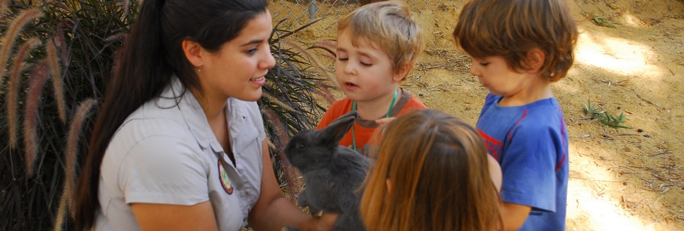 Zoo